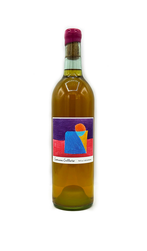 Camuna Cellars That's Us/Wild Combination New Jersey White 2022 - Wine Therapy NYC