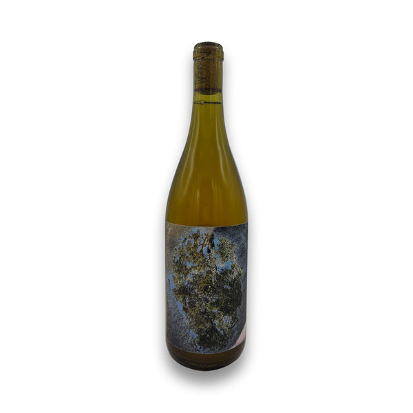 Dorsal Wines Monsoon 2023 Chardonnay bottle with inverted tree label