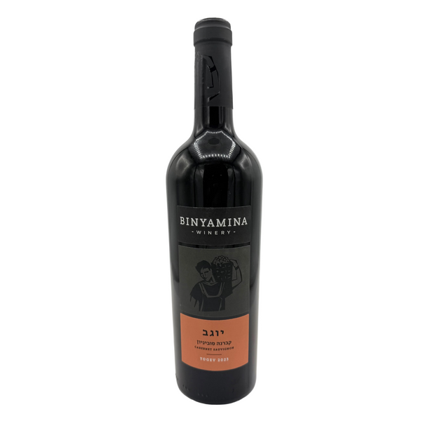 Binyamina Yogev Cabernet Sauvignon Red Wine