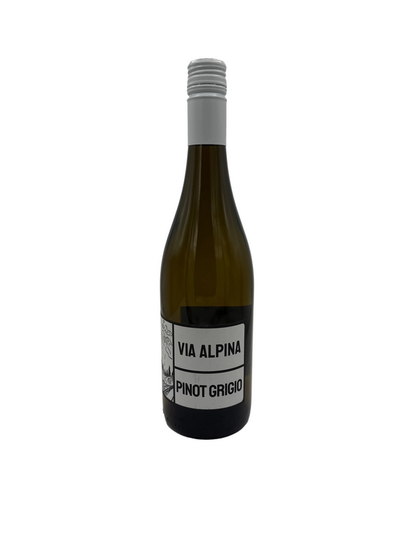 Via Alpina Pinot Grigio Friuli doc 2025