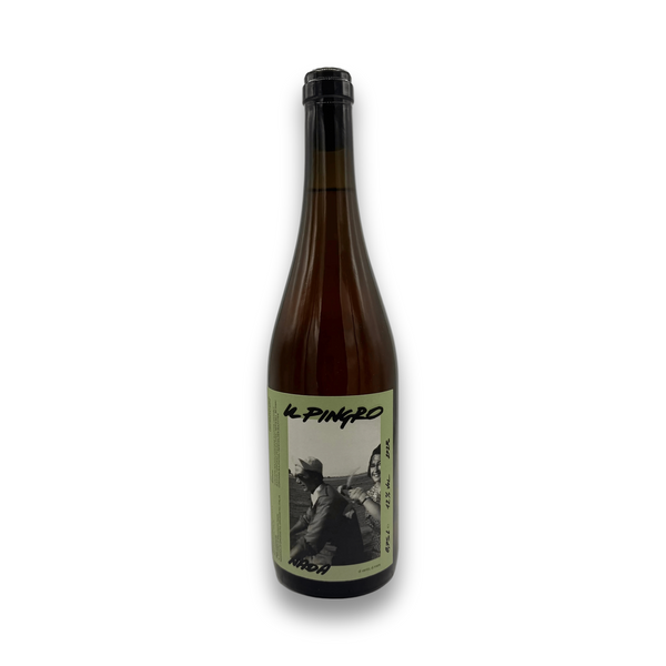 Il Pingro Nada 2023 Italian white wine bottle with coastal landscape label
