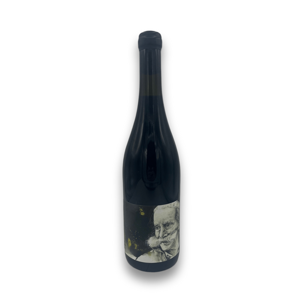 Manuel Pulcini Vizioramingo 2021 Red Wine