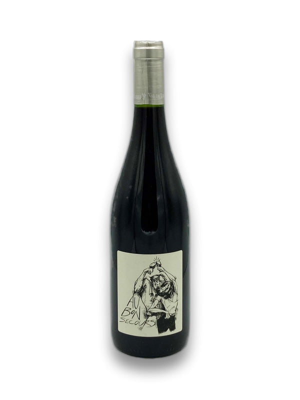 Babass Au Bon Secours Gamay 2020 - Wine Therapy NYC