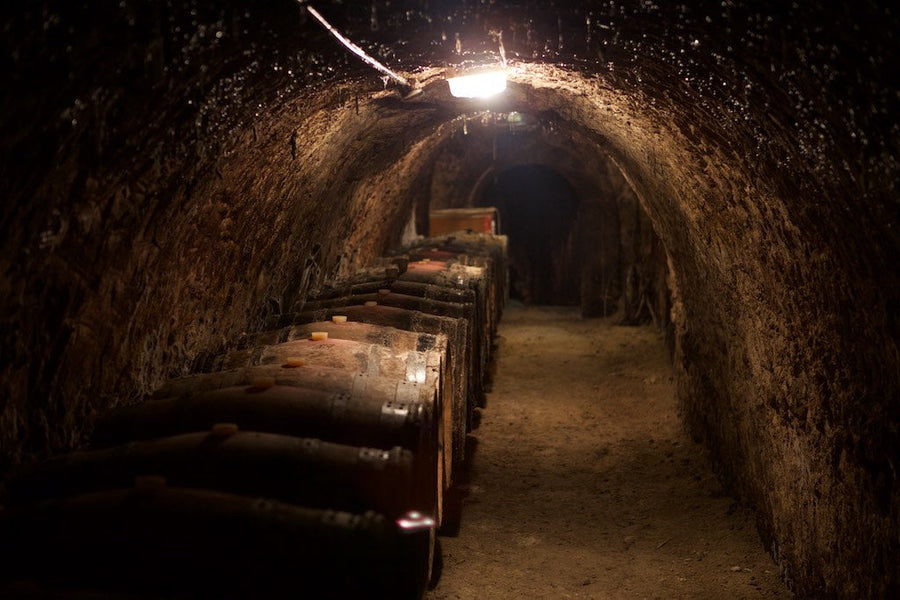 Why We Can't Stop Talking About the Loire Valley