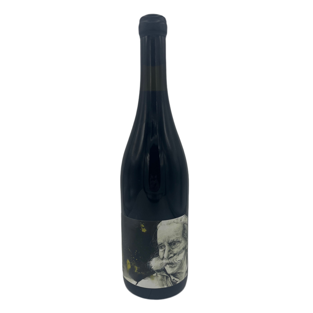 Manuel Pulcini Vizioramingo 2021 Red Wine