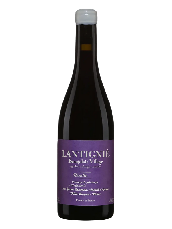 Yann Bertrand Beaujolais Lantignie 2024 - Wine Therapy NYC