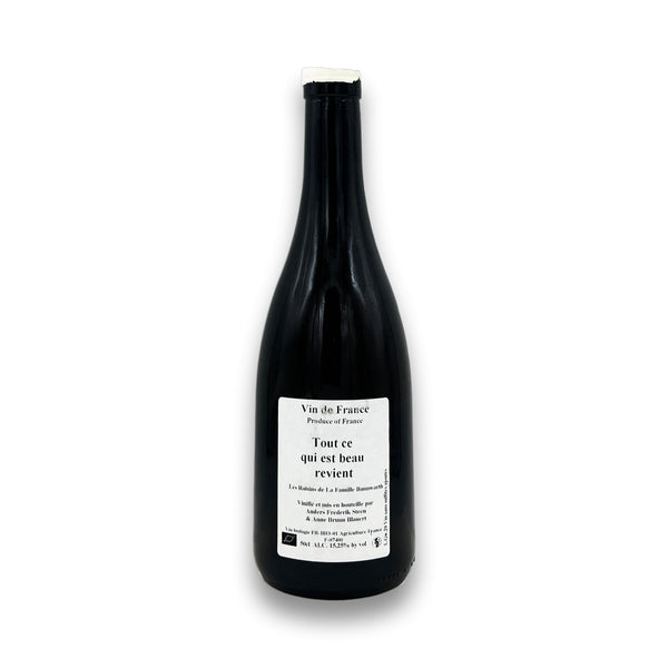 Anders Frederik Steen Tout ce qui est Beau Revient 2020 500ML - Wine Therapy NYC