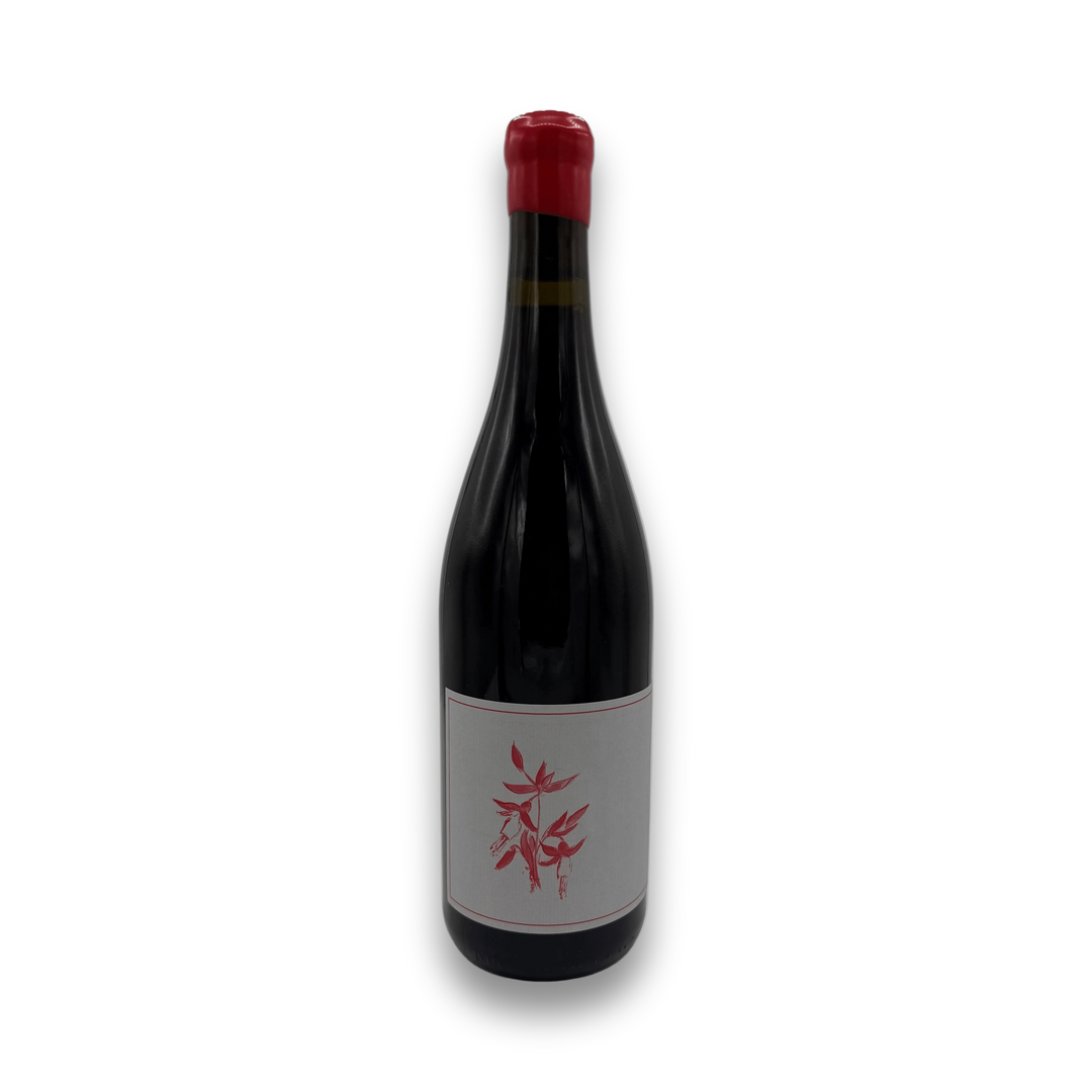 Arnot Roberts Gamay 2024 red wine bottle with botanical label design