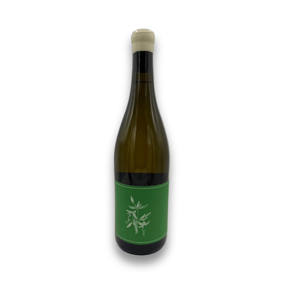Arnot Roberts Sauvignon Blanc Randle Hill Yineyard Yorkville Highlands 2023 White Wine
