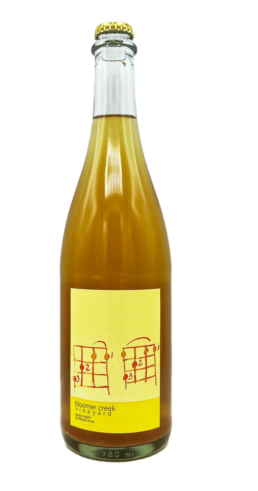 Bloomer Creek Pet Nat Riesling Wild Apple NV - Wine Therapy NYC