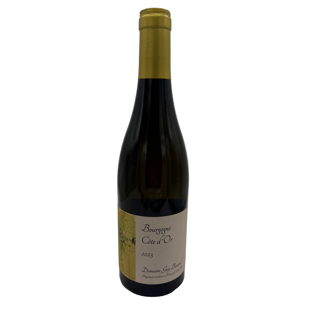 Wine bottle with gold foil cap on a white background
