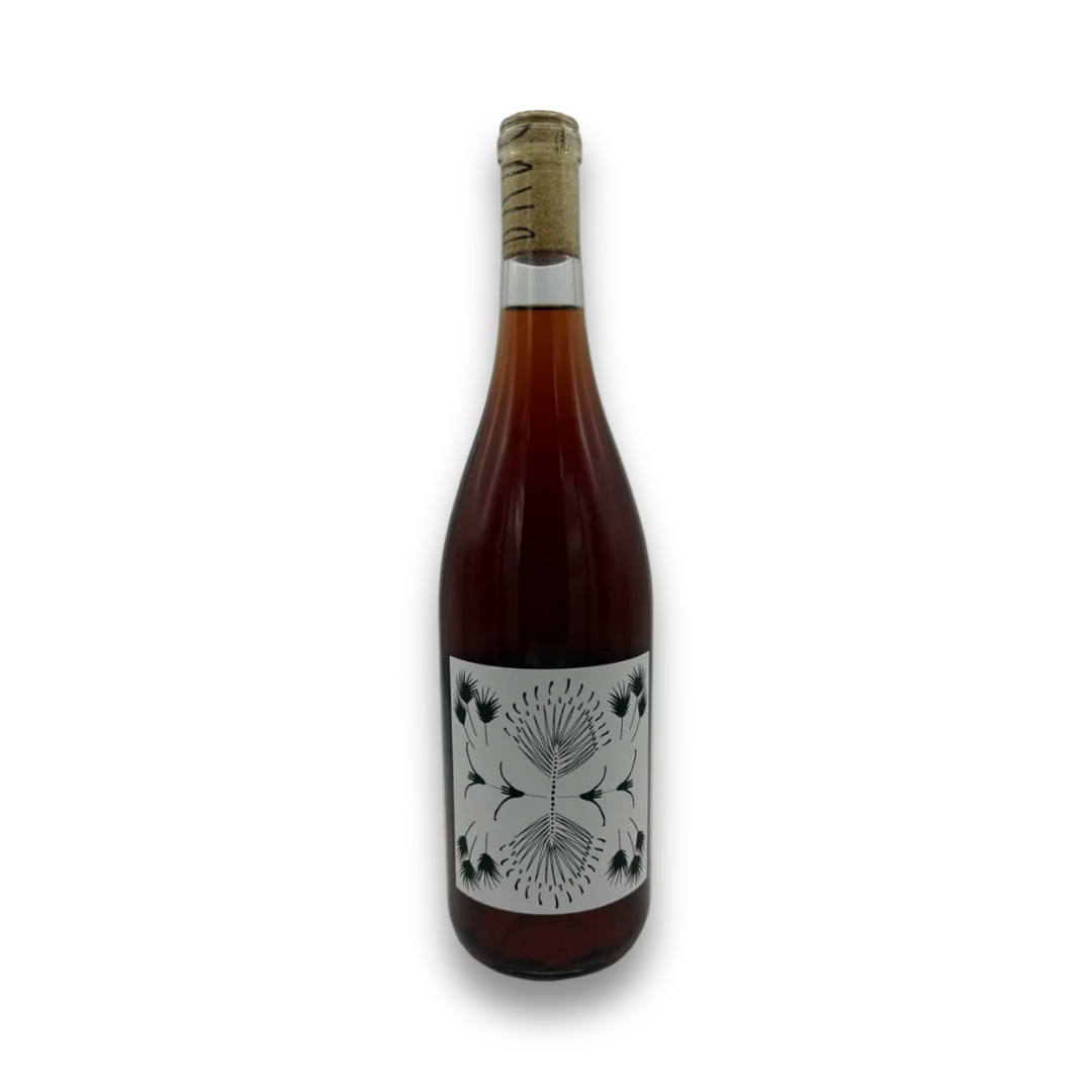 Broc Cellars AYAY! 2022 Montepulciano Trebbiano red wine bottle with minimalist botanical label