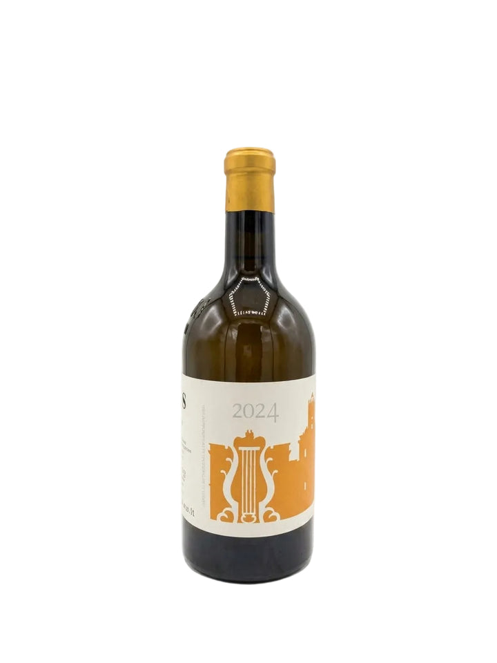 A dark glass wine bottle with a gold foil capsule and a cream-colored label featuring an orange lyre graphic and the year 2024, set against a plain white background.