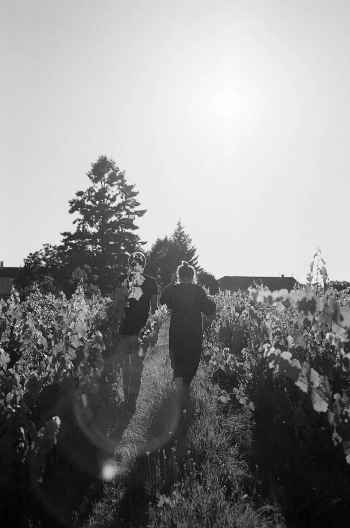 Clos Bateau Cote de Brouilly 2024