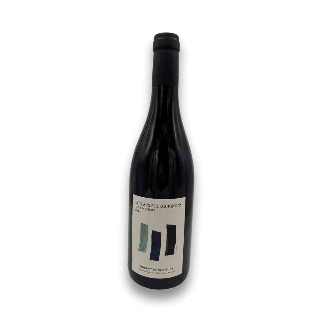 Coteaux Bourguignons Les Paquiers 2024 red wine bottle by Vincent Paindavoine with abstract blue label design