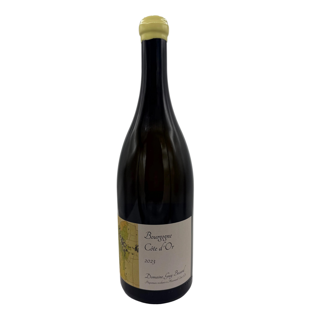 Magnum wine bottle with a label on a white background