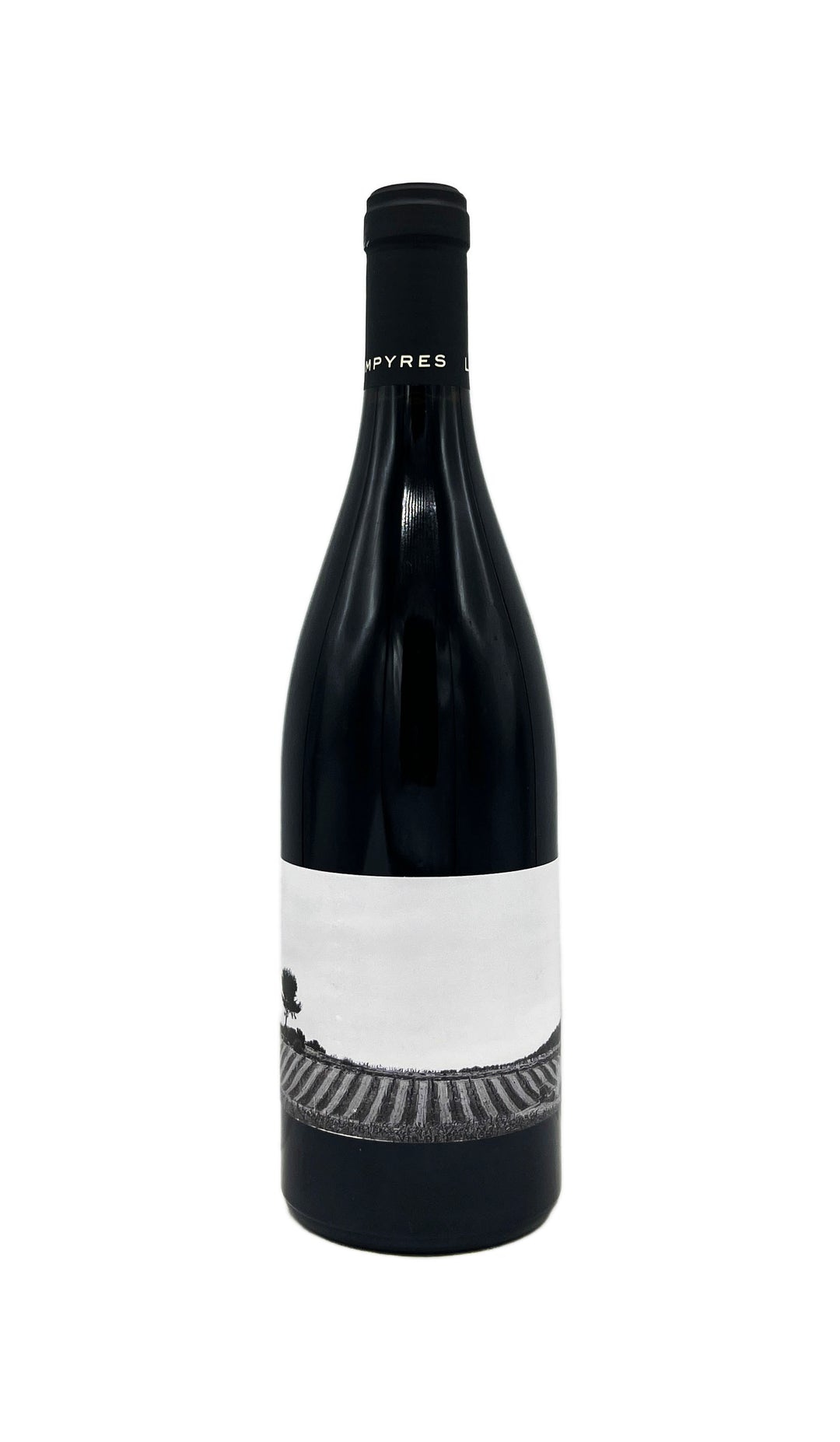 Domaine des Lampyres Petit Ruisseau 2022 - Wine Therapy NYC