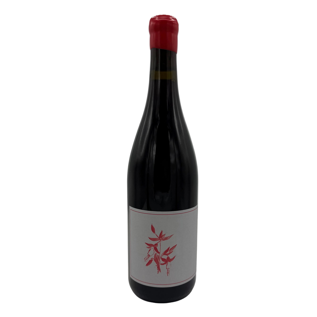 Arnot Roberts Gamay 2024