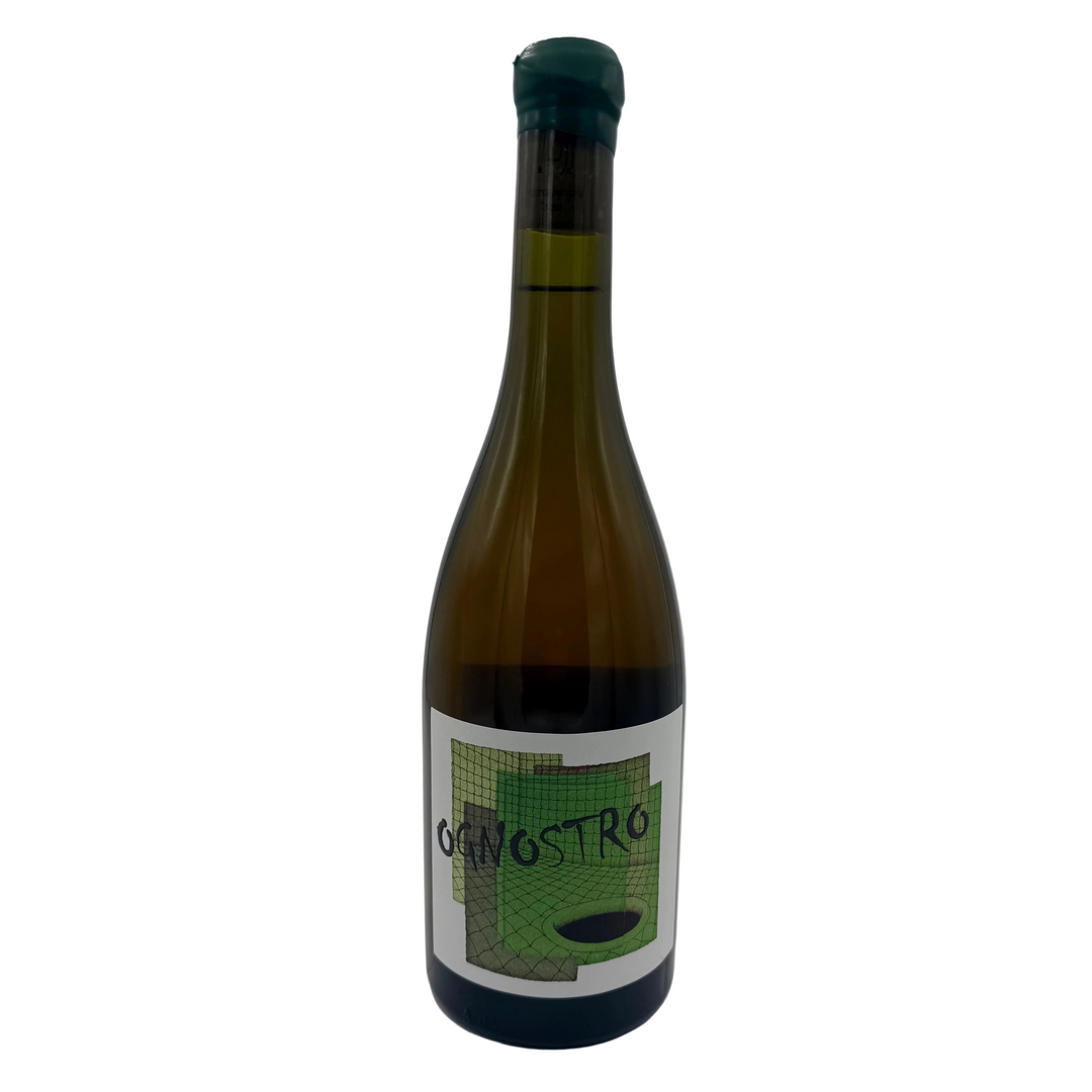 Marco Tinessa Greco di Tufo 2024 “Ognostro”