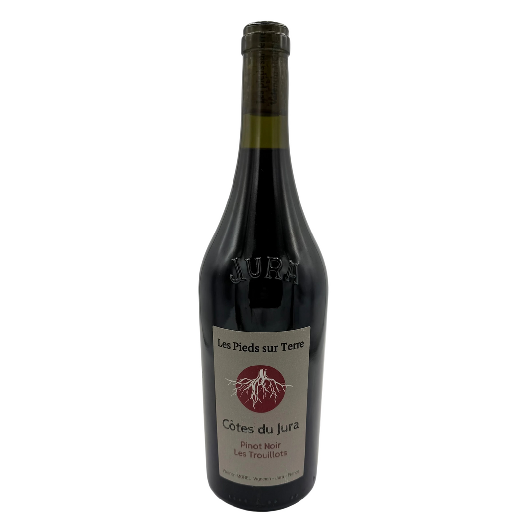 Valentin Morel Cotes du Jura Pinot Noir Les Trouillots 2022 Red Wine