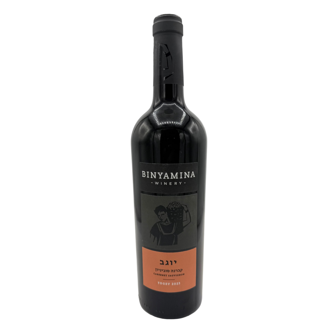 Binyamina Yogev Cabernet Sauvignon Red Wine