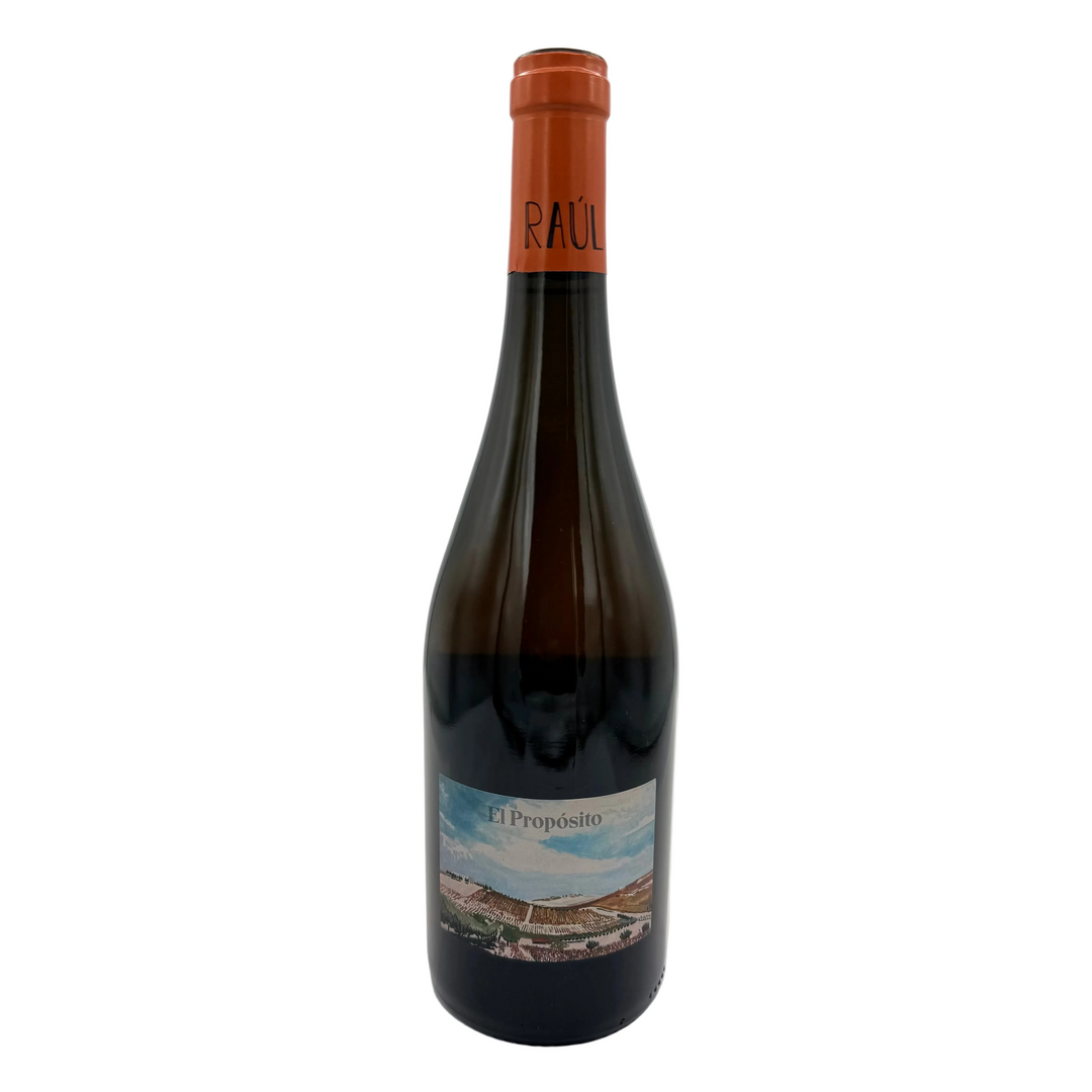 Raul Moreno 'El Proposito' 2022 White Wine