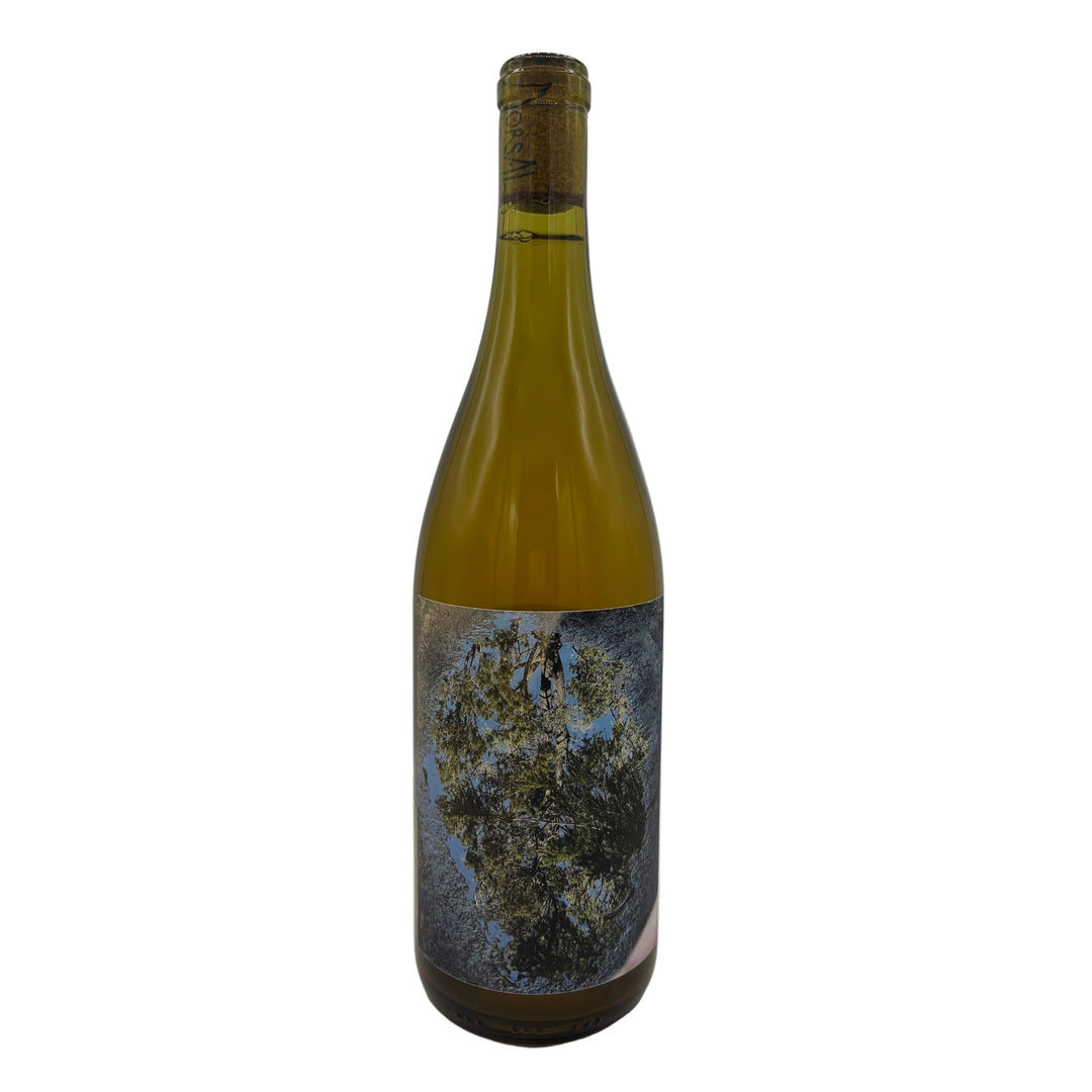Dorsal Wines Monsoon 2023