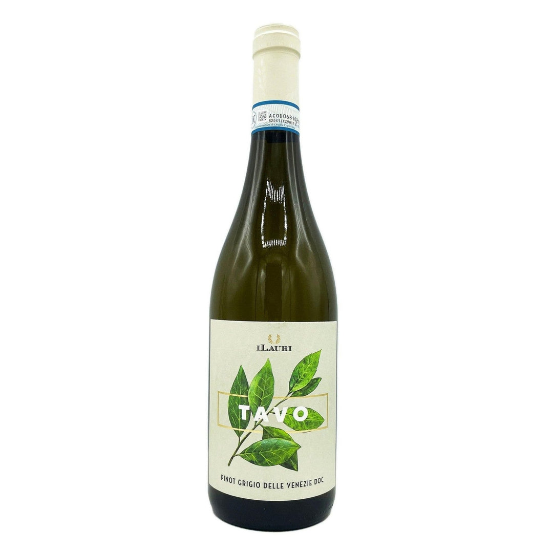 Ilauri Tavo Pinot Grigio 2024 White Wine