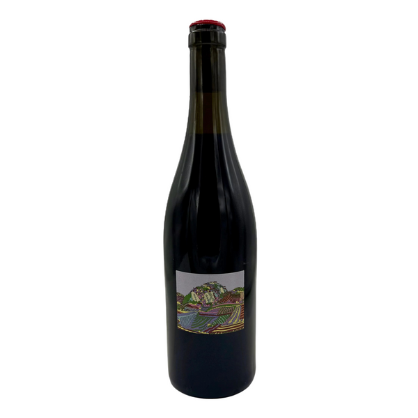 Red Wine bottle with an artistic label on a white background