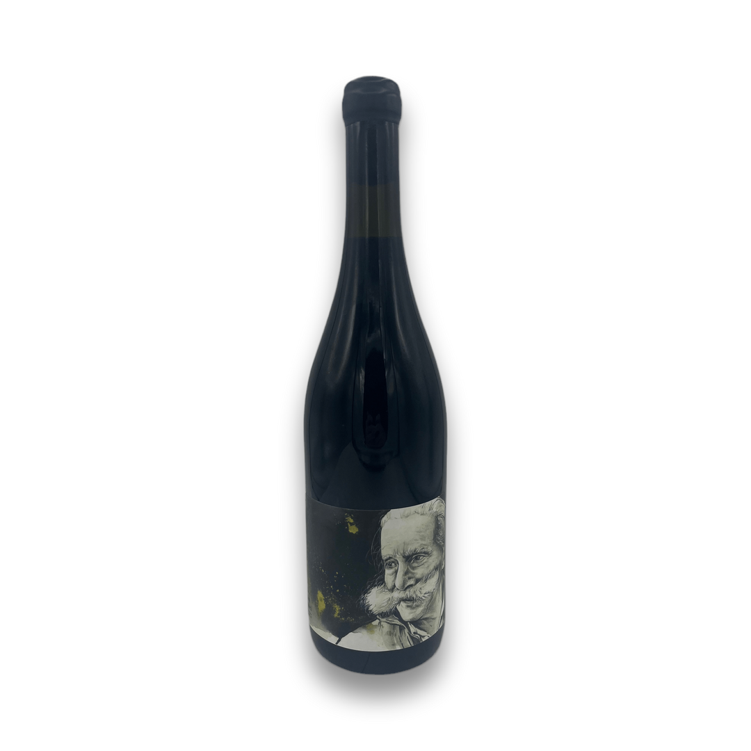 Manuel Pulcini Vizioramingo 2021 Red Wine