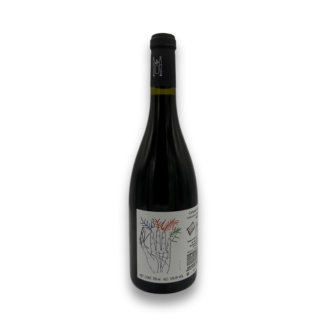 Marco Tinessa Aglianico Taburno IGT 2023 Italian red wine bottle with botanical label design