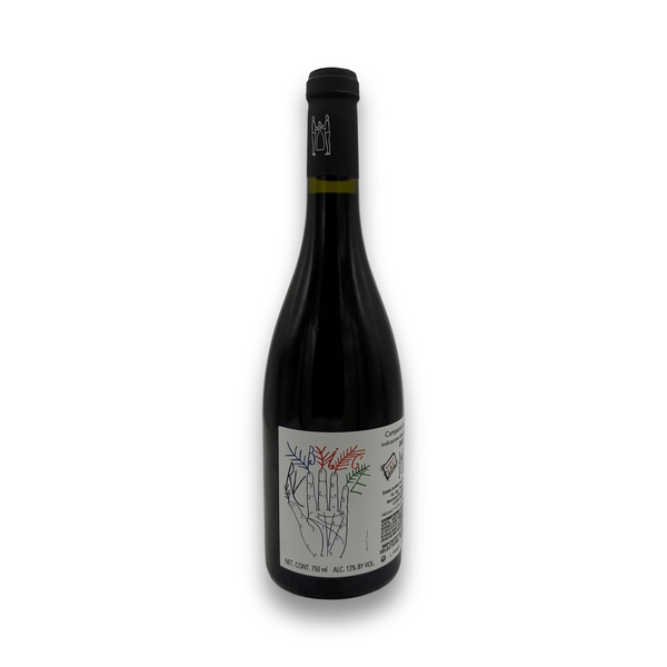 Marco Tinessa Aglianico Taburno IGT 2023 Italian red wine bottle with botanical label design