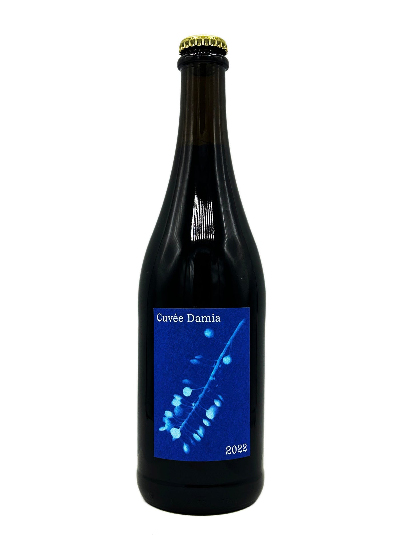 Matthias Orsett Cuve Damia Switzerland Red 2022