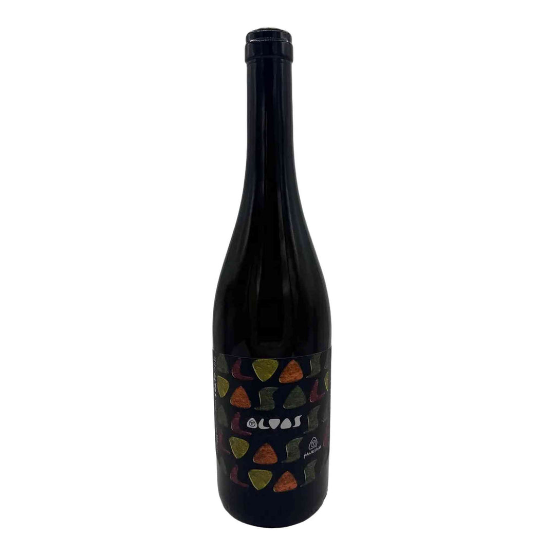 Wine bottle with colorful shapes on the label on a white background