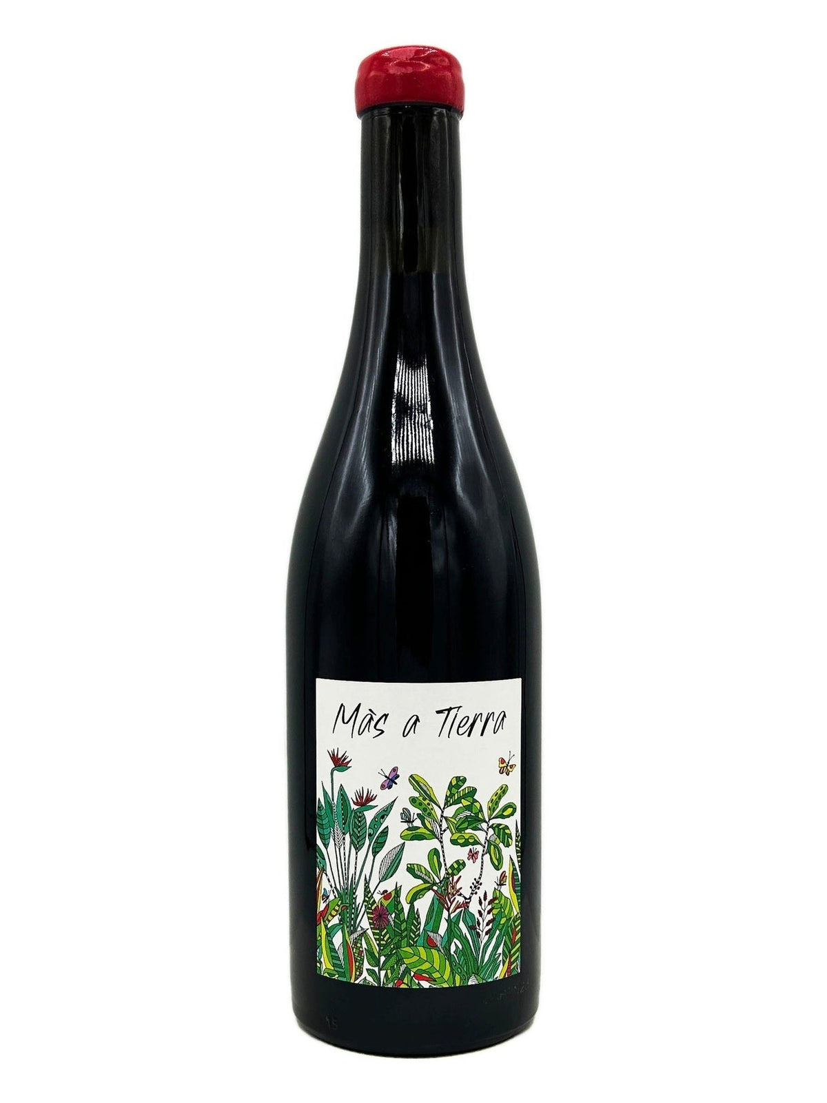 Petite Empreinte Pinot Noir Coteaux Bourguignons "Mas a Tierra" 2023 - Wine Therapy NYC