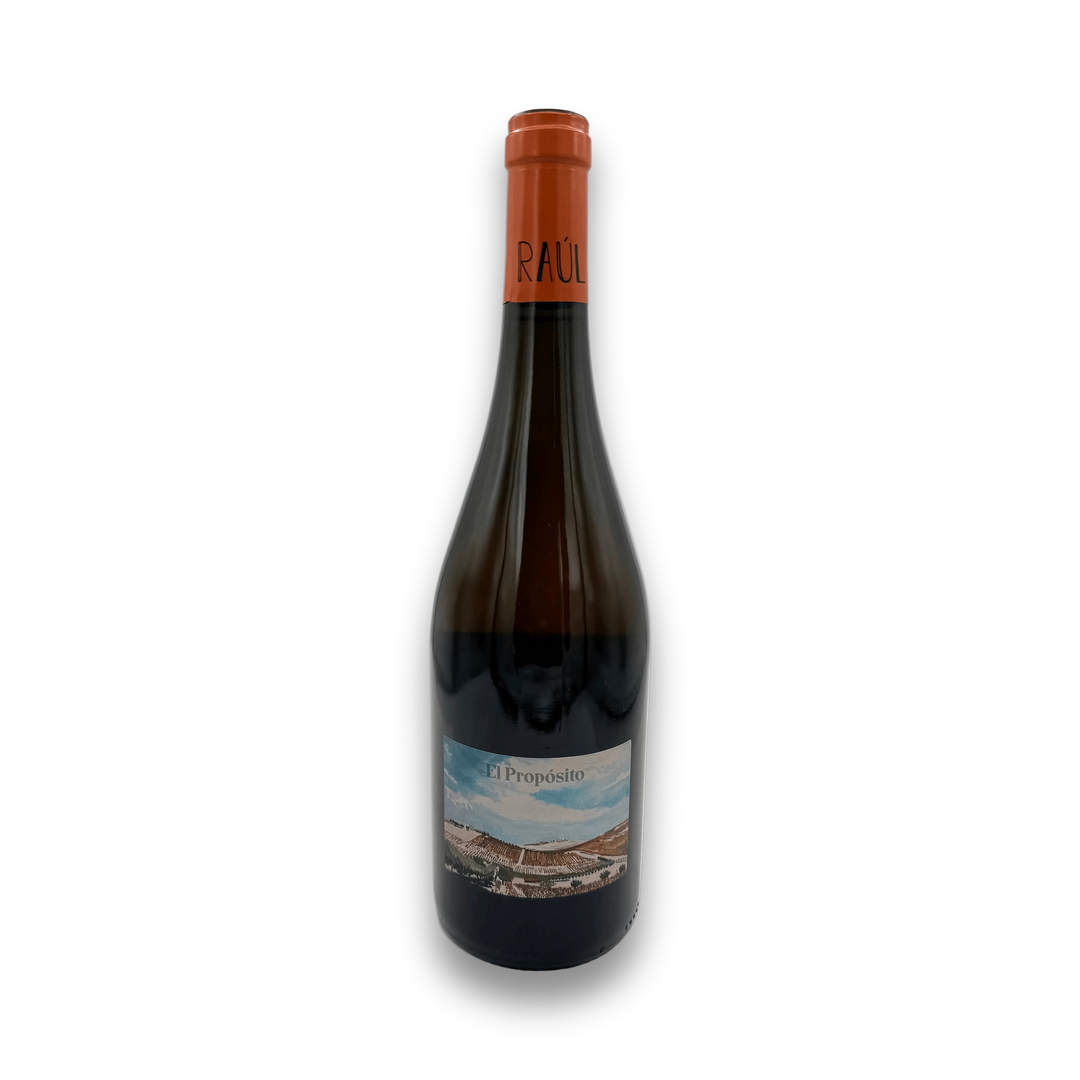 Raul Moreno 'El Proposito' 2022 White Wine