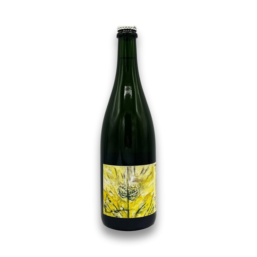 Samuel Boulay Rappapeo 2018 White