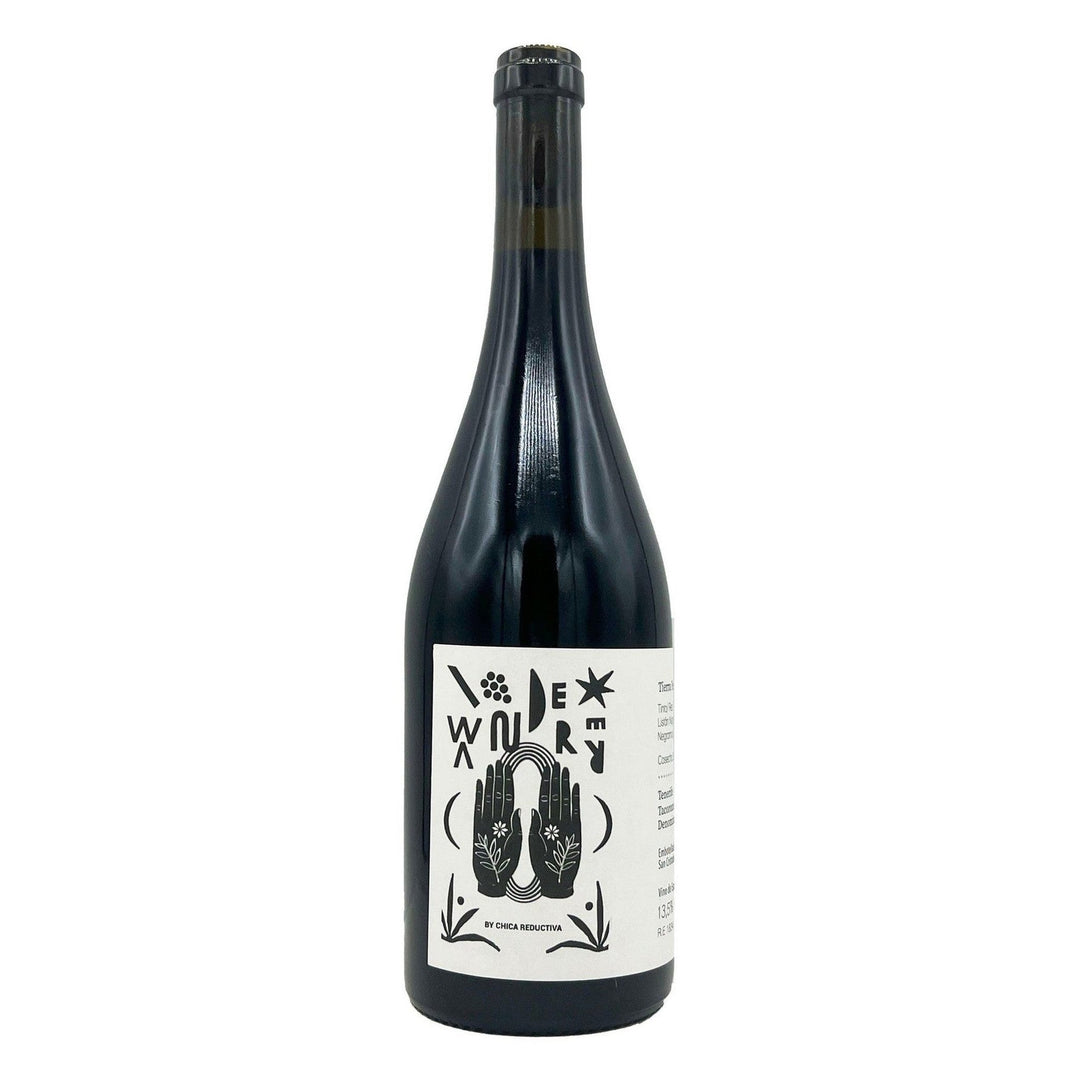 Tierra Fundida Wanderer D.O. Tacoronte 2023 Red Wine