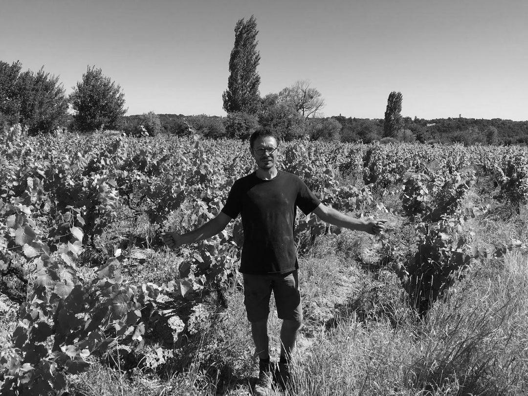 Le Raisin A Plume, En Viree 2025
