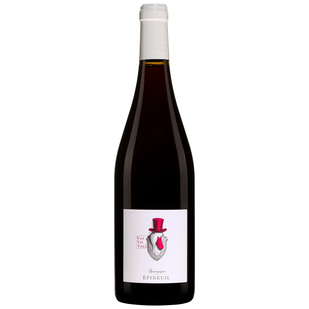 Vini Viti Vinci Bourgogne Epineuil Vals Noirs 2023 - Wine Therapy NYC