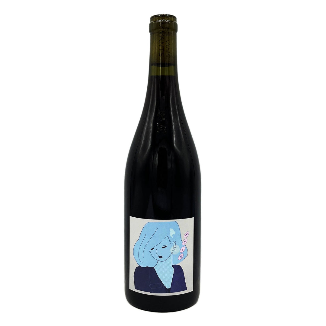 Les Vins Vivants Bailey A Hakkoutai Nagano Red 2022 - Wine Therapy NYC