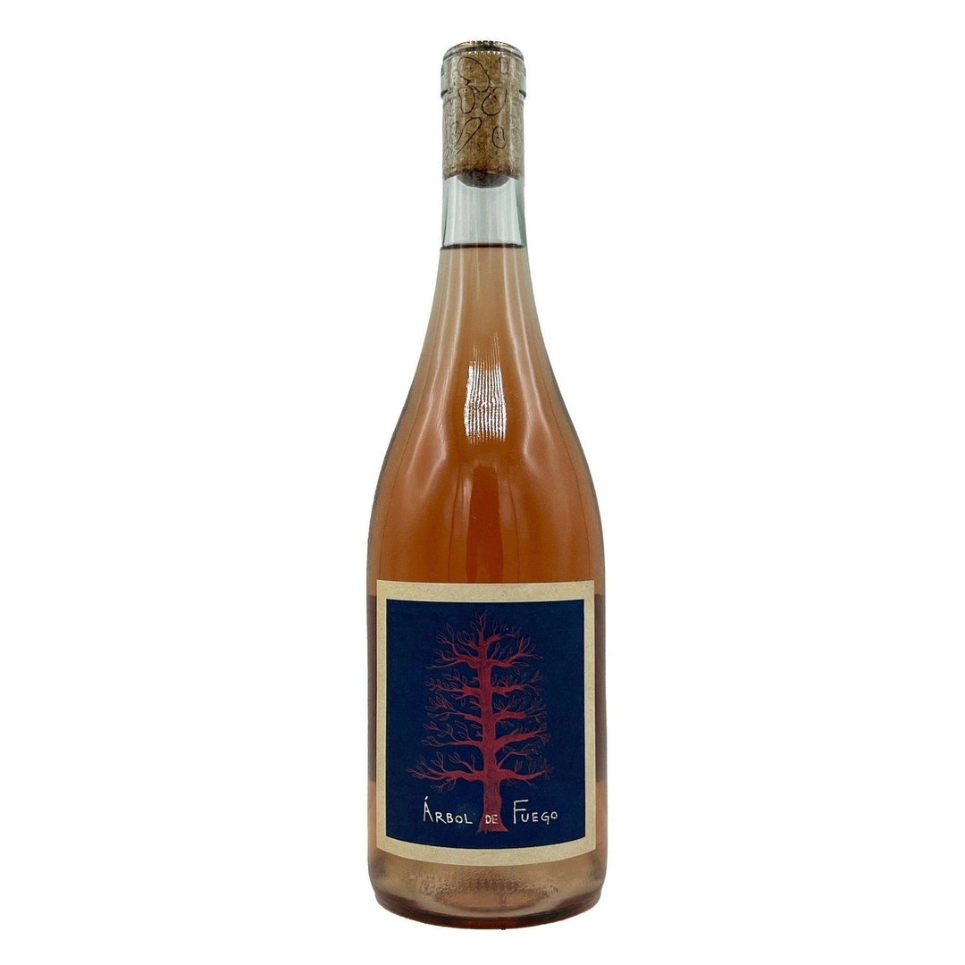 Vinos Pijoan Arbol de Fuego Valle de Guadalupe Rose 2024 Red Wine