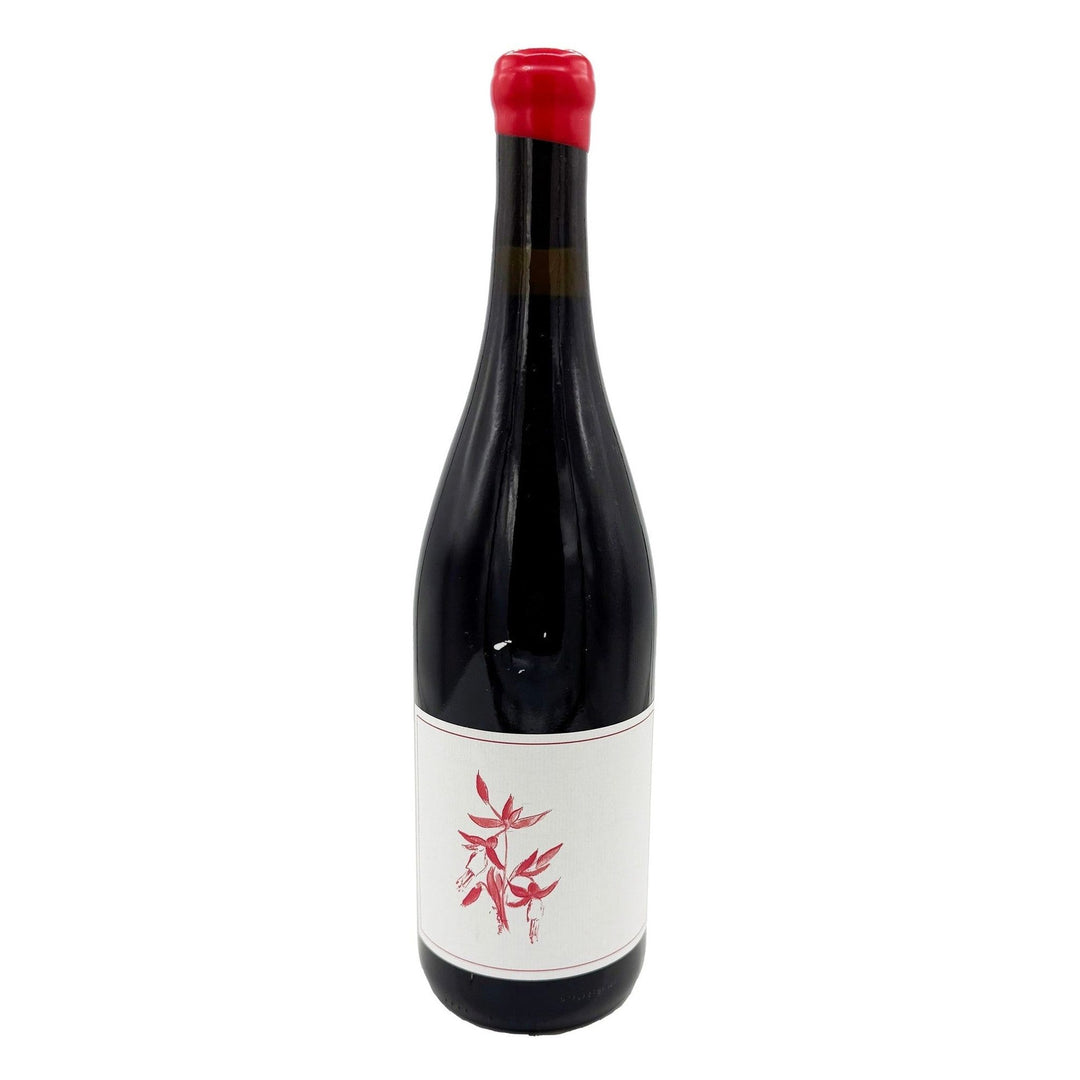 Arnot Roberts Pinot Noir Fox Creek Vineyard Carmel Valley California 2023 Red