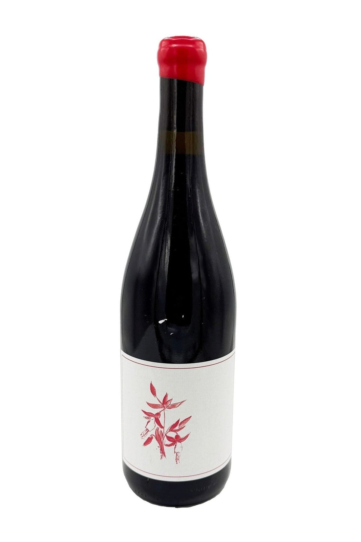 Arnot Roberts Pinot Noir Fox Creek Vineyard Carmel Valley California 2023 Red