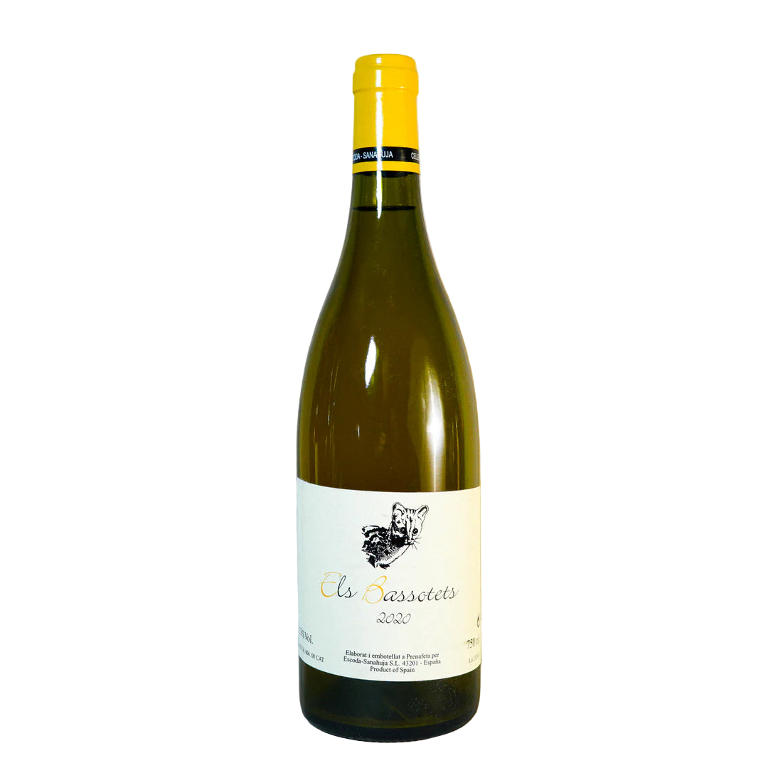 Juan Ramon Escoda els Bassotets  White 2023