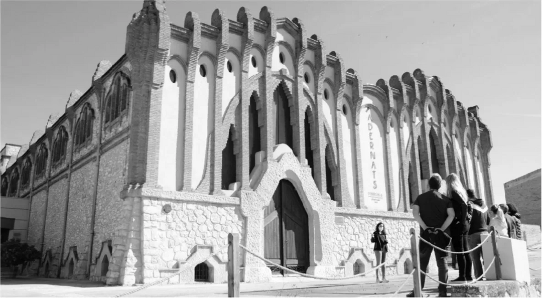 Vinicola Nulles Parabolic White 2024
