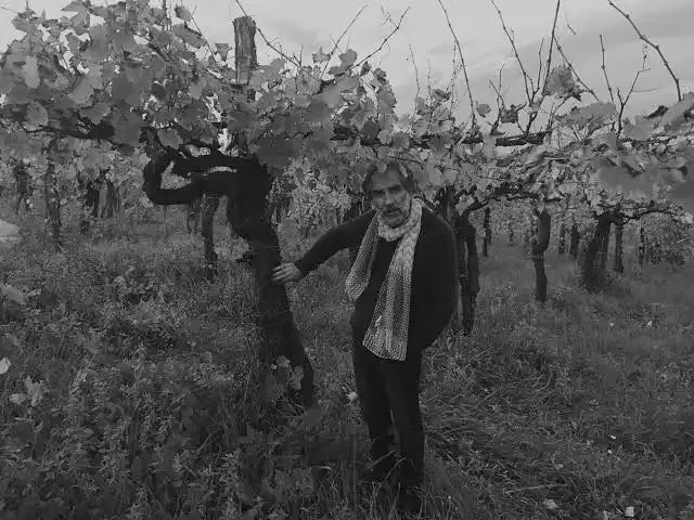 Cantina Giardino Bianco Controra
