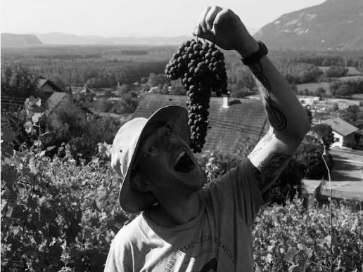 Domaine des Fables Poison Ivy 2023