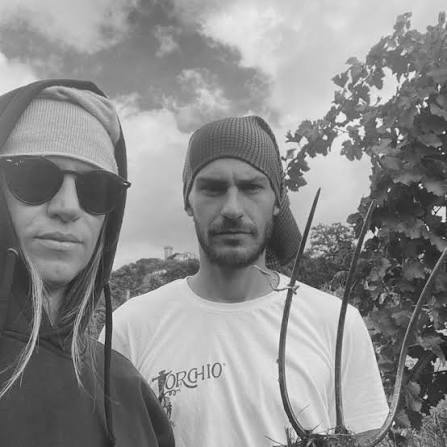 Il Torchio vermentino il Bianco 2025