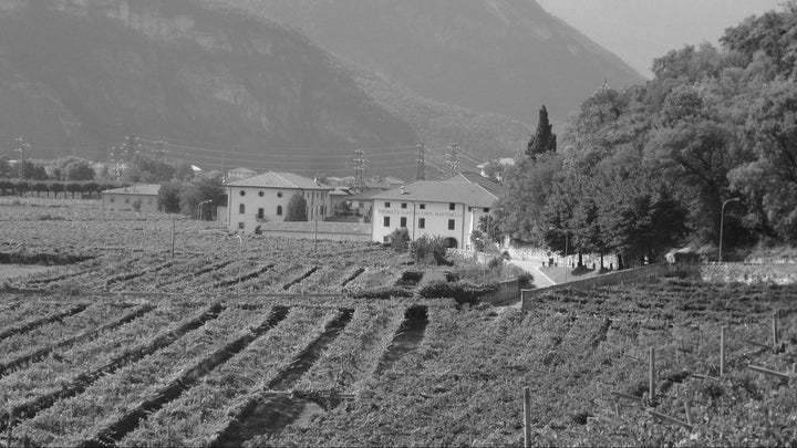 Cantina Martinelli Gargantua 2023